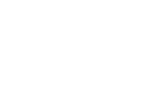 Rồng Việt Group