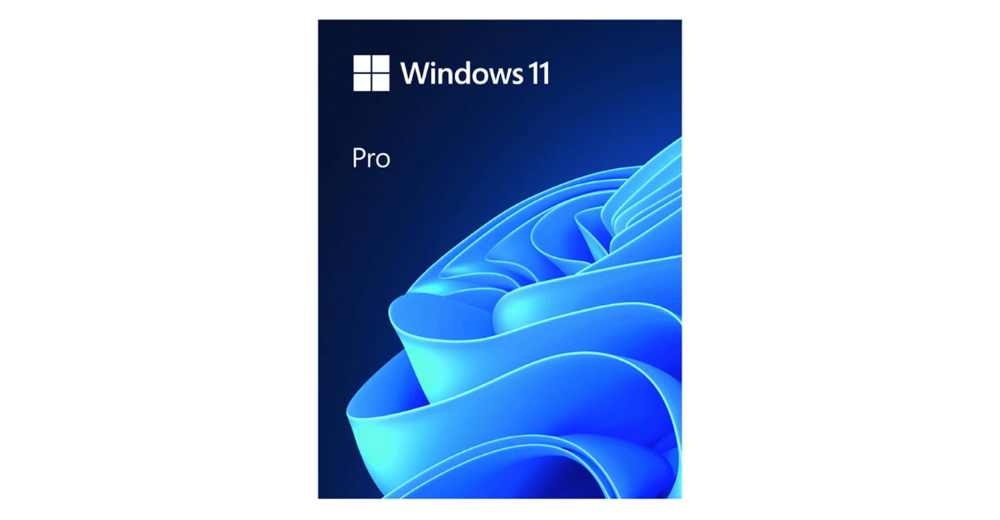 Phần mềm Microsoft Windows Pro 11 64Bit USB FPP/HAV-00163